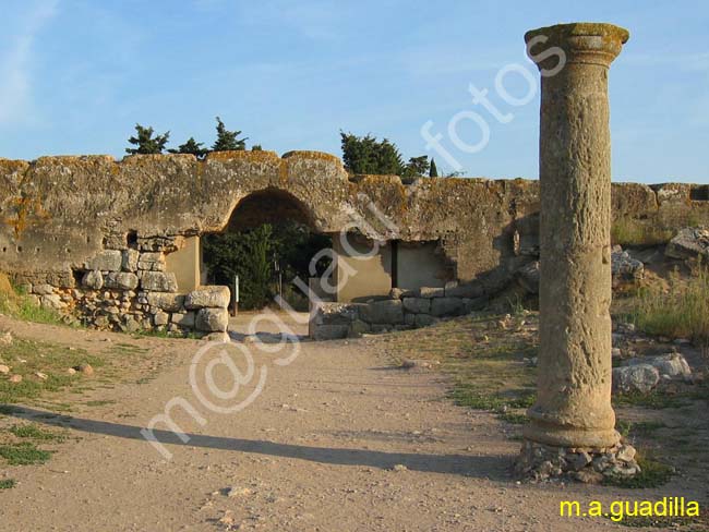 RUINAS DE EMPURIES 033