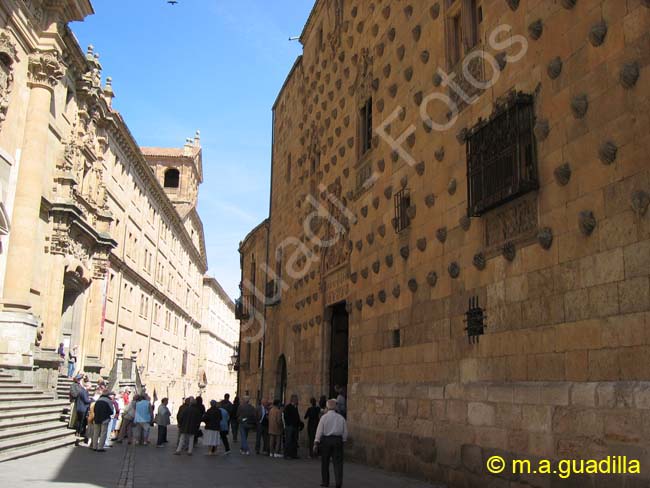 SALAMANCA - Casa de las Conchas 003