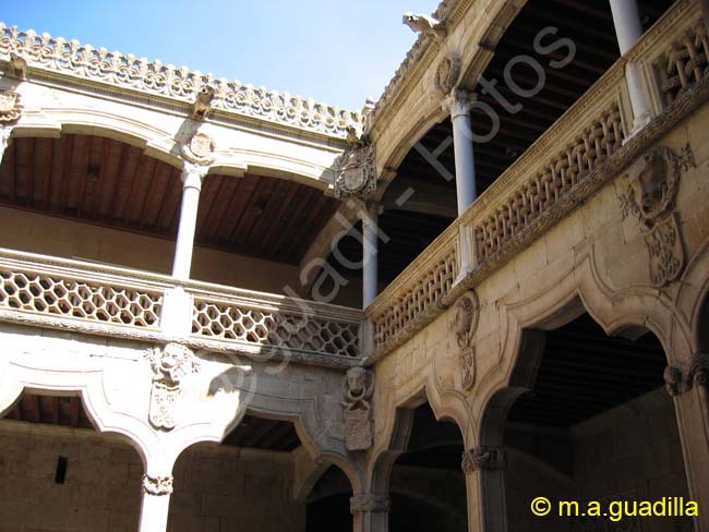 SALAMANCA - Casa de las Conchas 008