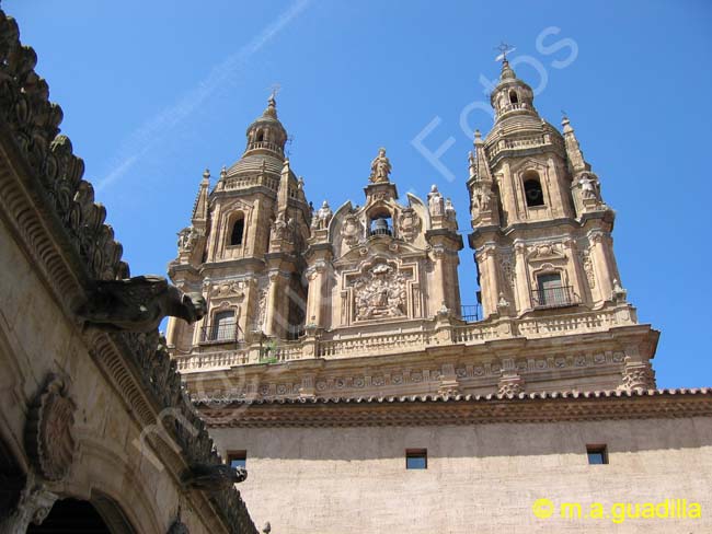 SALAMANCA - Casa de las Conchas 012