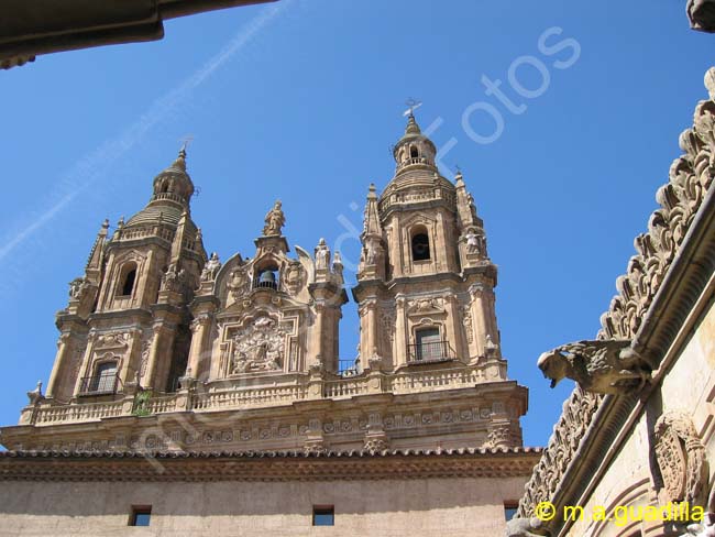 SALAMANCA - Casa de las Conchas 014