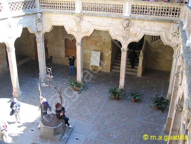 SALAMANCA - Casa de las Conchas 018