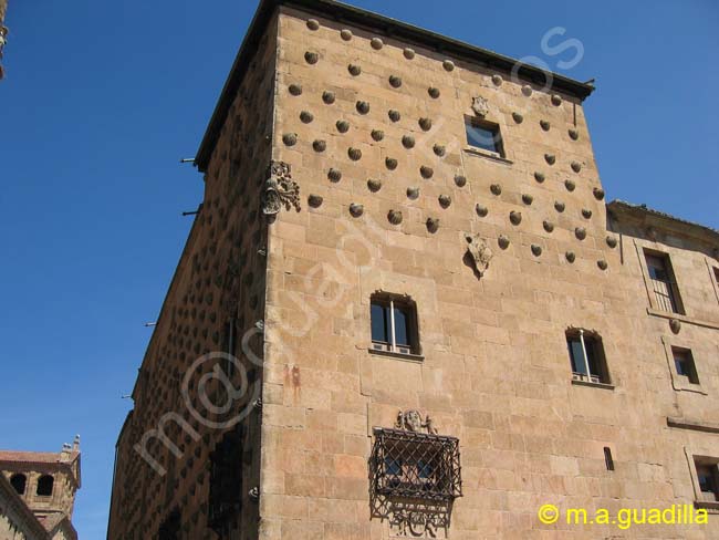 SALAMANCA - Casa de las Conchas 024