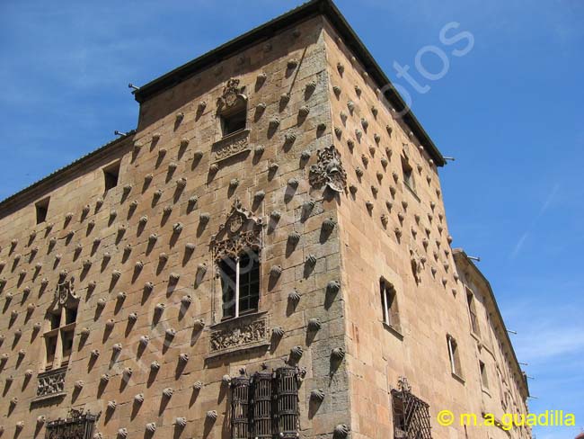 SALAMANCA - Casa de las Conchas 028