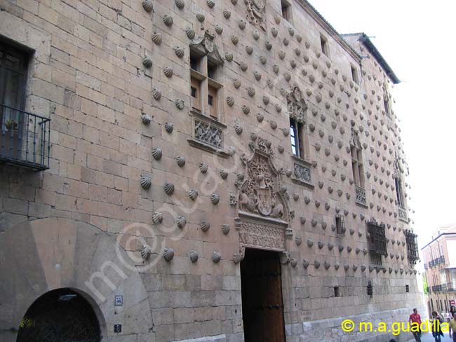 SALAMANCA - Casa de las Conchas 030