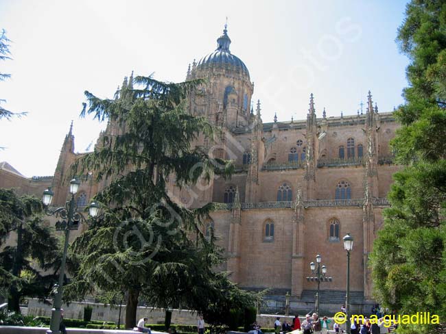 SALAMANCA - Catedral Nueva 002