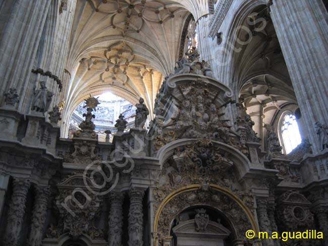 SALAMANCA - Catedral Nueva 008