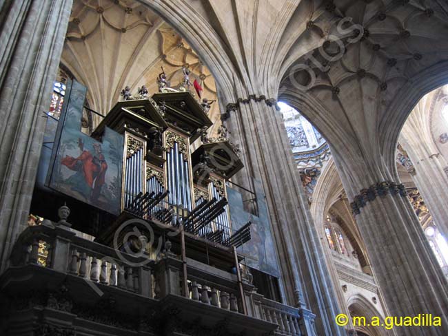 SALAMANCA - Catedral Nueva 013