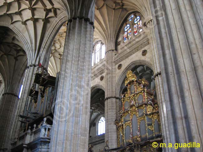 SALAMANCA - Catedral Nueva 017