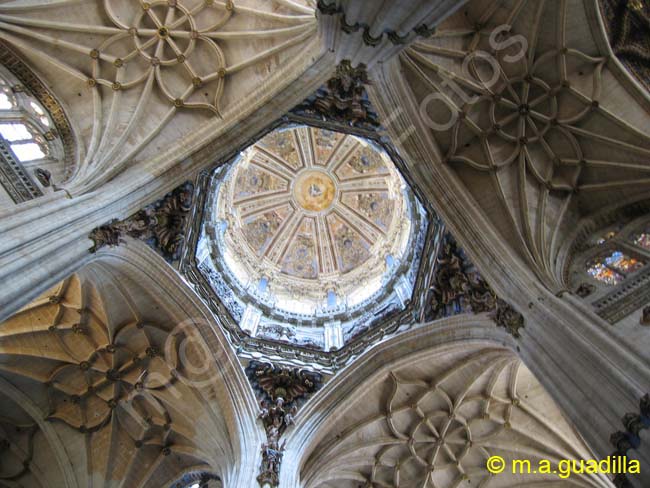 SALAMANCA - Catedral Nueva 018