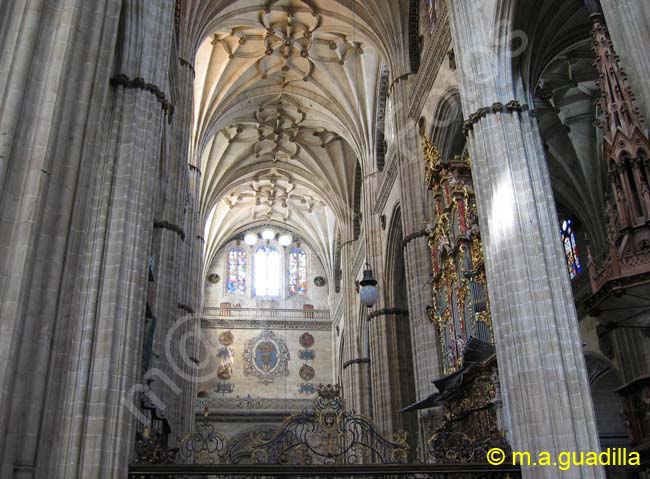 SALAMANCA - Catedral Nueva 021