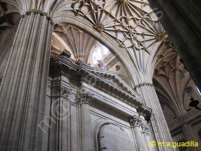 SALAMANCA - Catedral Nueva 024