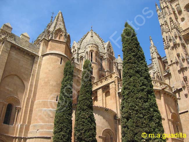 SALAMANCA - Catedral Nueva 040