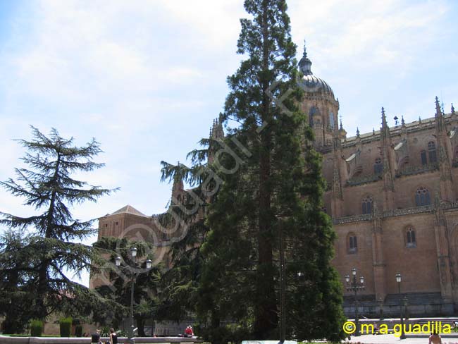 SALAMANCA - Catedral Nueva 042