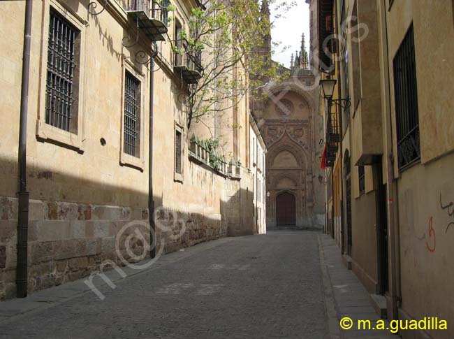 SALAMANCA - Catedral Nueva 072