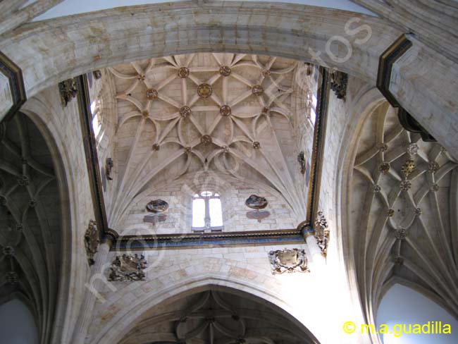 SALAMANCA - Colegio del Arzobispo Fonseca 007