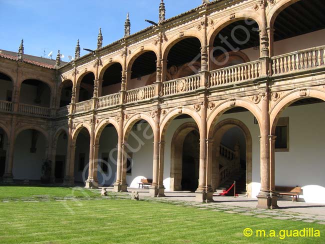 SALAMANCA - Colegio del Arzobispo Fonseca 011