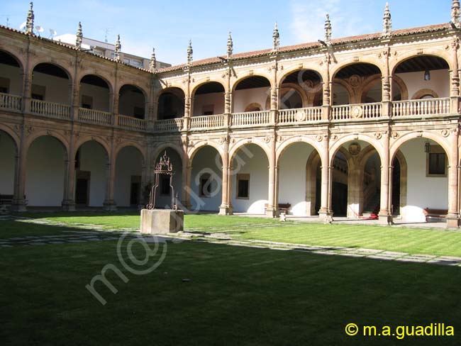 SALAMANCA - Colegio del Arzobispo Fonseca 012