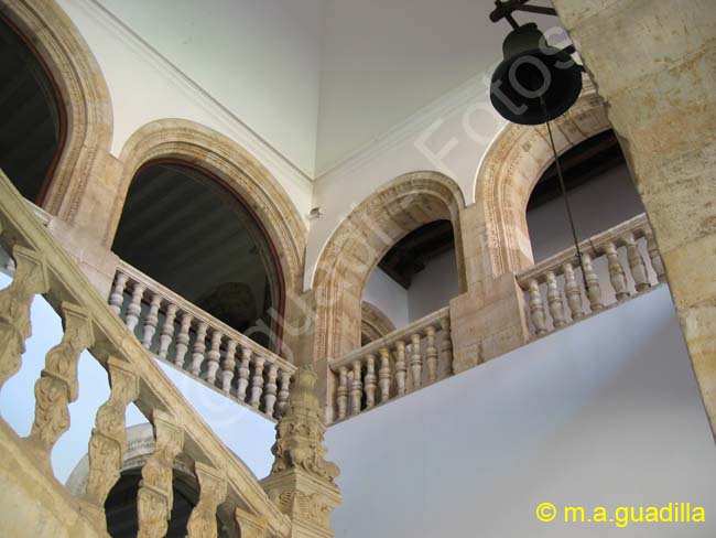 SALAMANCA - Colegio del Arzobispo Fonseca 014