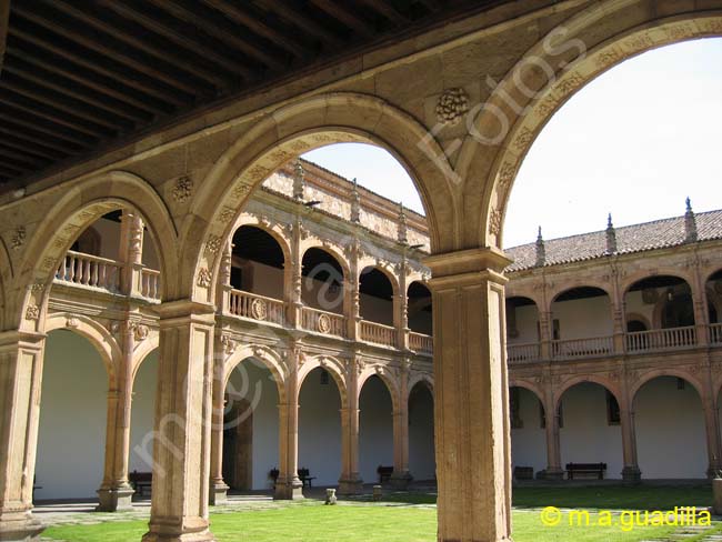 SALAMANCA - Colegio del Arzobispo Fonseca 019