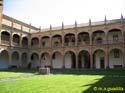 SALAMANCA - Colegio del Arzobispo Fonseca 018