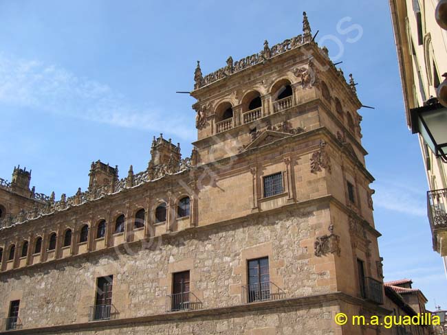 SALAMANCA - Palacio de Monterrey 001