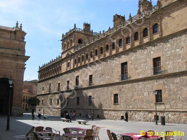 SALAMANCA - Palacio de Monterrey 002