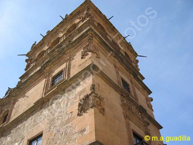 SALAMANCA - Palacio de Monterrey 003