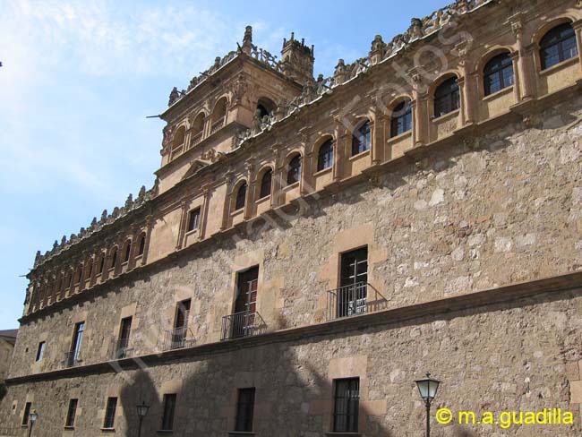 SALAMANCA - Palacio de Monterrey 004