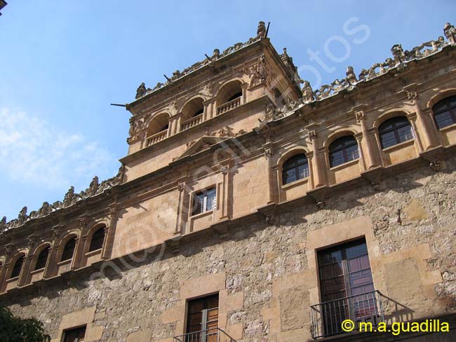 SALAMANCA - Palacio de Monterrey 005