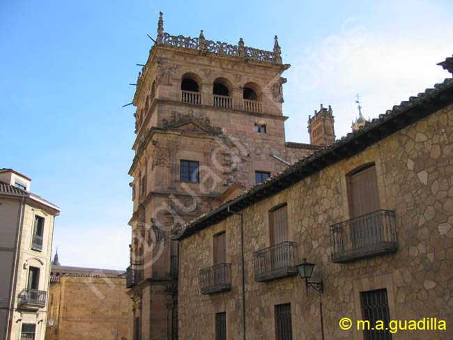 SALAMANCA - Palacio de Monterrey 008