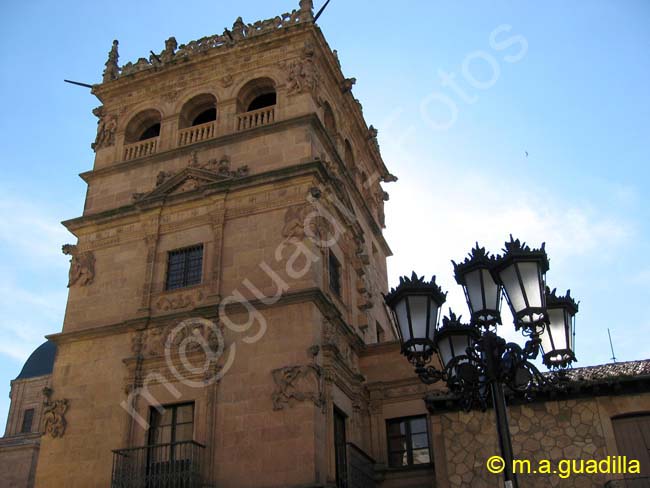 SALAMANCA - Palacio de Monterrey 009