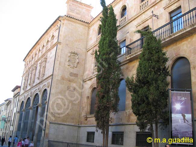 SALAMANCA - Palacio de la Salina 001