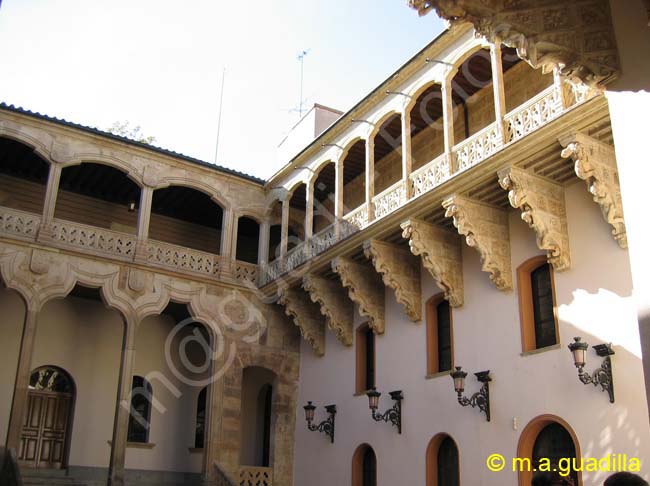 SALAMANCA - Palacio de la Salina 003