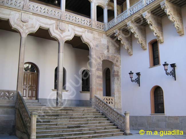 SALAMANCA - Palacio de la Salina 004