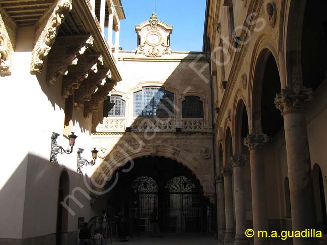 SALAMANCA - Palacio de la Salina 005