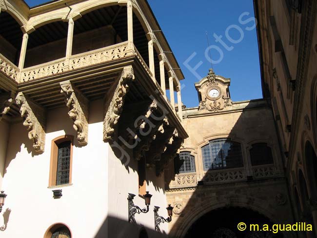 SALAMANCA - Palacio de la Salina 006