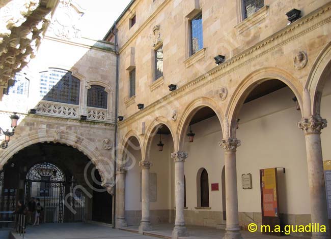 SALAMANCA - Palacio de la Salina 007