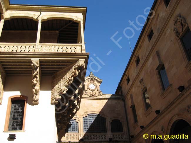 SALAMANCA - Palacio de la Salina 008