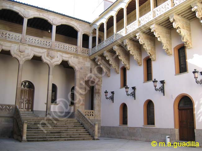 SALAMANCA - Palacio de la Salina 010