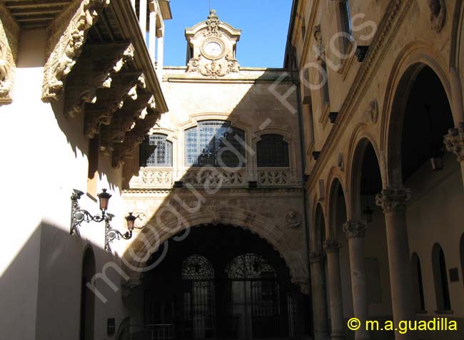 SALAMANCA - Palacio de la Salina 011