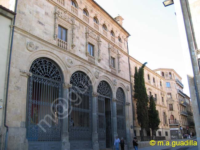 SALAMANCA - Palacio de la Salina 013