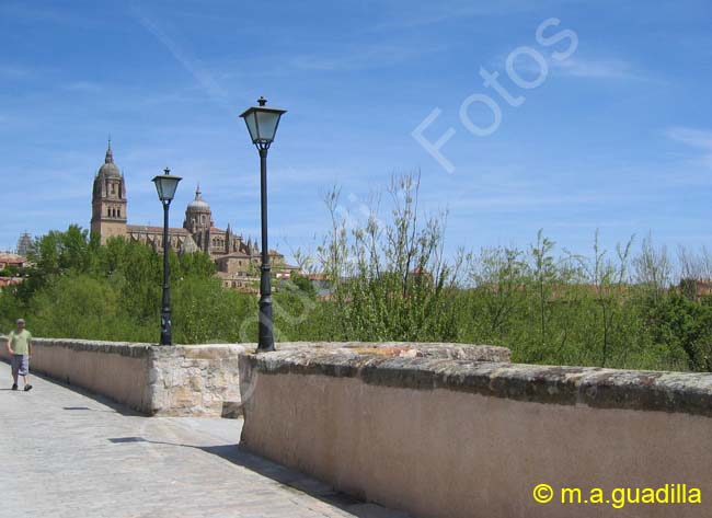 SALAMANCA - Puente Romano 005