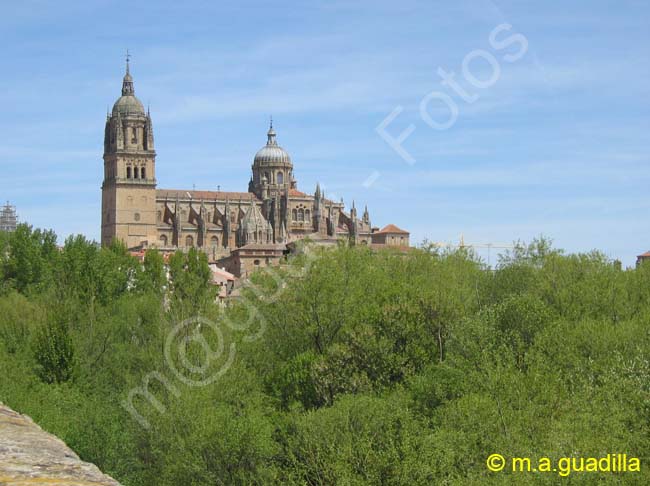 SALAMANCA - Puente Romano 007