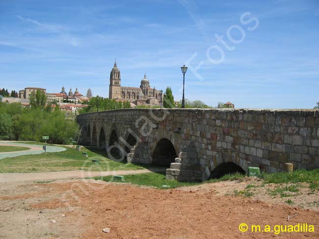 SALAMANCA - Puente Romano 008