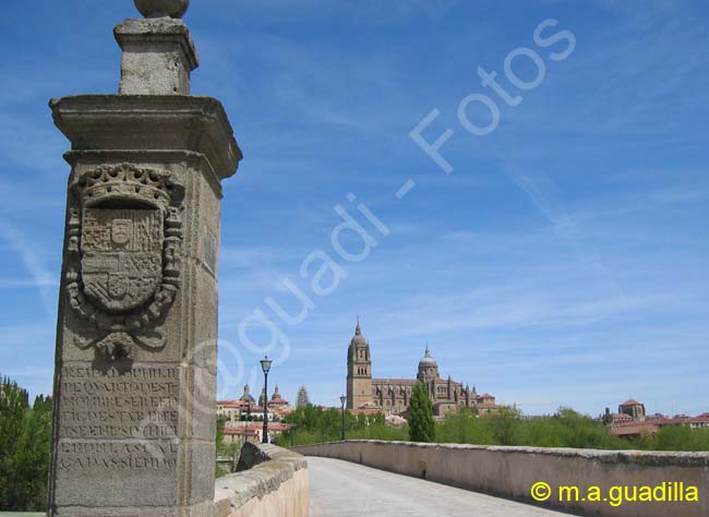 SALAMANCA - Puente Romano 009