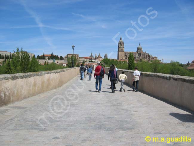 SALAMANCA - Puente Romano 010