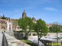 SALAMANCA - Puente Romano 001