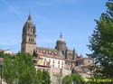 SALAMANCA - Puente Romano 002