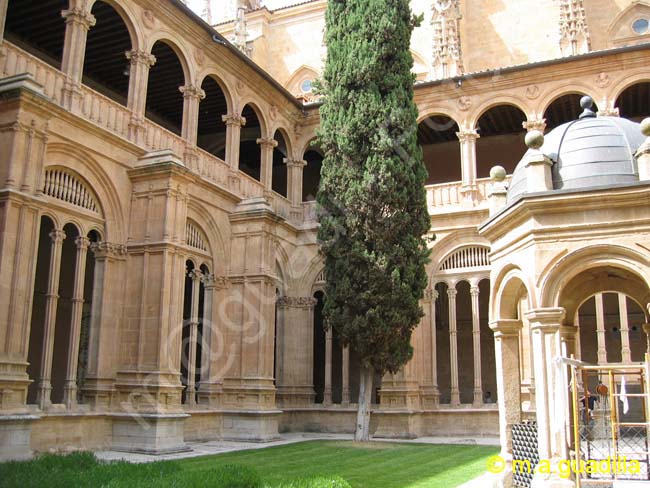 SALAMANCA - Convento e Iglesia de San Esteban 023